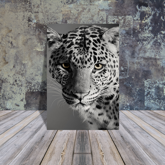 Metal Poster - Black and white Big Cat