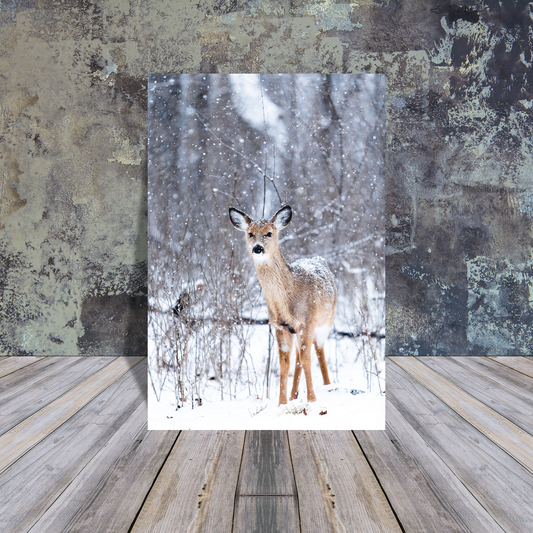 Metal Poster - Baby deer snow day