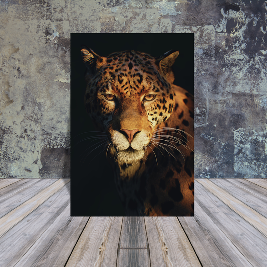 Metal Poster - Leopard