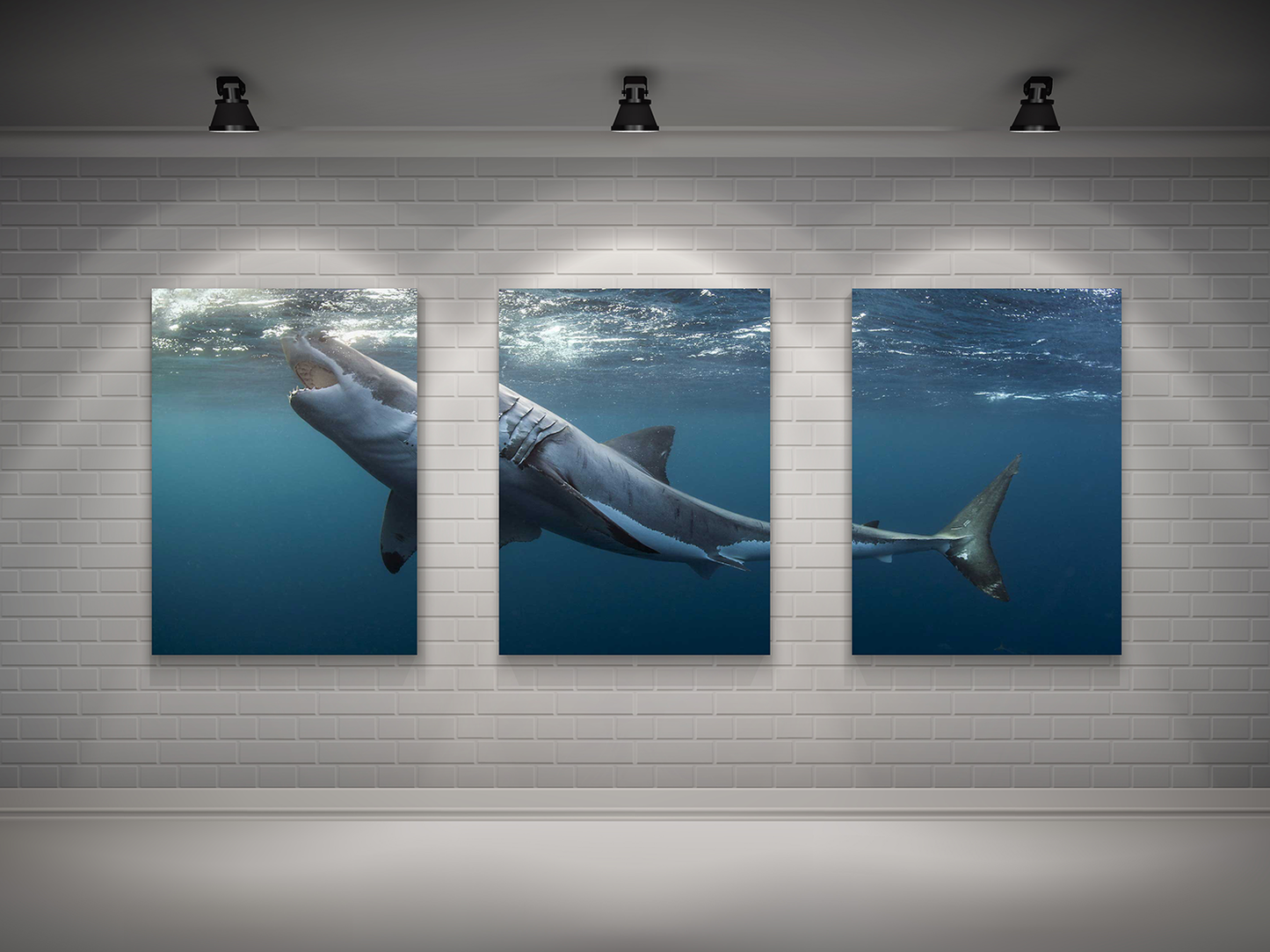 Metal Poster - 3 piece Shark