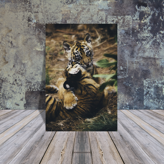 Metal Poster - Tiger cub